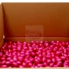 Golden Sweets Easter Eggs Pure 5 Kg -Coffee Sale Shop eitjes puur kl